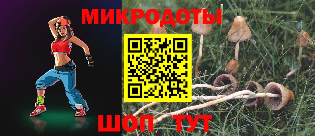 Псилоцибиновые грибы MAGIC MUSHROOMS  Вход с VPN  Можга 